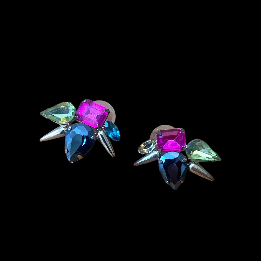 👑Jewel earrings👑